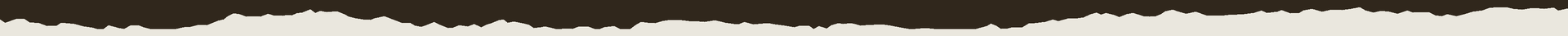 ct-dechire-brun-beige
